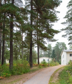 Cykelväg genom tallskog i kvarter F11 Skavsta