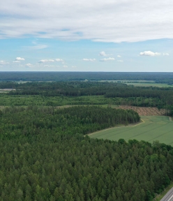 Flygfoto över Skavstaområdet