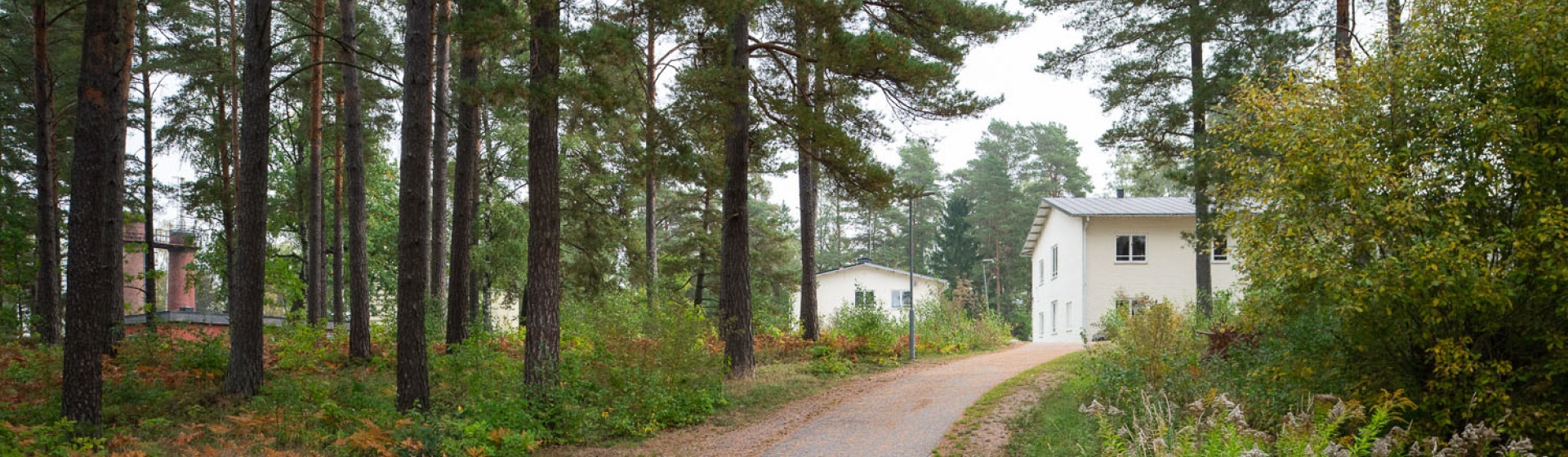 Cykelväg genom tallskog i kvarter F11 Skavsta
